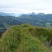 Aussicht vom Roggenstock gegen Westen