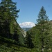 La Bocchetta di Vald e il Monte Rosa visti dalla Bocchetta di Cavalla