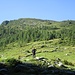 Usciti dal bosco e dall'ombra