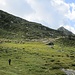 pascolo nei pressi del lago Piccolo di Porcile
