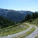 Fahrsträsschen zur Alp Laschadura. Hinten links Piz Terza.