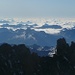 Blick ins Wolkenmeer der Südalpen, davor der Verbindungsgrat zum Lauteraarhorn