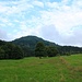 Blick zum Tisový vrch (Eibenberg)