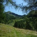 La punta Pozzolo vista dal sentiero alle spalle del bivacco. La scala di Pozzolo sale in diagonale fino al punto più basso della cresta (al centro della foto), a sx dell'elevazione boscata.