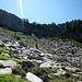 Nella pietraia sopra l'Alpe Pozzolo, ormai prossimo alla scala