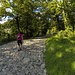 Via delle Alpi