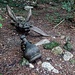 Scultura (foto chiaraa)