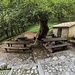 Terz'Alpe