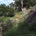 Der Weg