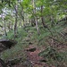 Treppen im Wald
