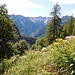Corte di fondo