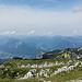 Blick nach Westen. Der Guffert im Hintergrund. Es brodelt schon a weng. 