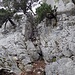 Der markante Kamin im oberen Bereich des Grats kurz vor P. 1203 m
