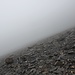 <b>Non vediamo né sentieri né segnavia; di nuovo fatichiamo moltissimo su un terreno inclinato ricoperto di sfasciumi cedevoli. Anche i muscoli delle braccia sono parecchio sollecitati, visto che per mantenere l’equilibrio dobbiamo far pressione sui bastoncini. Il superamento di questa tratta di circa 300 m ci richiede mezz’ora di tempo. </b>