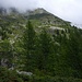 Alpe di Pivicou