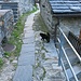 Beh, cosa c'è? E' casa mia questa....