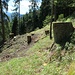 Grandi pulizie nel bosco che scende a Cant