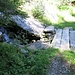 Passerella rustica