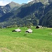 I bei prati di Pian (fantasia del nome....)