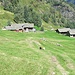 Ma....tre simpatici in attesa.....