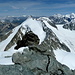 Blick hiüber zum fast gleich hohen Mont Blanc de Cheilon