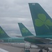 Aer Lingus, so weit das Auge reicht