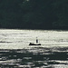 Auf dem Lac de Biaufond