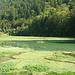 Kleiner Nebensee