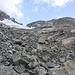 Im Gletschervorfeld des Vadret dals Aguagliouls 