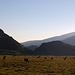Gemütlich grasen die Kühe auf der Ebene vor dem Base Camp
