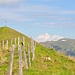 Dosse und Rigi Kulm.