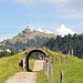 Durchsicht  auf dem Weg zwischen Rigi Staffelhöhe und Staffel.