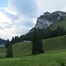 Die Alp Unter Alten am Fuss des Chli Aubrig.
