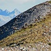 Camosci sul Monte Calvo
