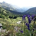 Blick in die Maienfelder Alpen hinunter
