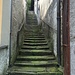<br />"L'attacco" <br /><br />Der Einstieg <br /><br />Den Tipp für den Einstieg über diese schöne Treppe<br />habe ich in dem wunderschönen Bericht von<br />Fabrizio Ottaviani gefunden. Der Link dazu:<br />⬇︎☟⬇︎<br />[http://www.ardia.ch/pdf/montagna/eiger.pdf]<br />____________________________<br /><br />Nach 46 Treppenstufen.....(siehe ganz unten)....<br />_<br />__<br />___<br />____<br />_____<br />______<br />_______<br />________<br />_________<br />__________<br />___________<br />____________<br />_____________<br />______________<br />_______________<br />________________<br />_________________<br />__________________<br />___________________<br />____________________<br />_____________________<br />______________________<br />_______________________<br />________________________<br />_________________________<br />__________________________<br />___________________________<br />____________________________<br />_____________________________<br />______________________________<br />_______________________________<br />________________________________<br />_________________________________<br />__________________________________<br />___________________________________<br />____________________________________<br />_____________________________________<br />______________________________________<br />_______________________________________<br />________________________________________<br />_________________________________________<br />__________________________________________<br />___________________________________________<br />____________________________________________<br />_____________________________________________<br />______________________________________________<br /><br />....geht es nach links und dann hinauf in den Wald.<br />