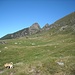Pianoro dal roccolo del Tino