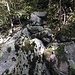 erster Steinmann im Wald von Fudiezz, Startpunkt der sichtbaren Wegspur