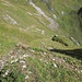 Vom Sattel bei P.1851m; nochmals das Geröllfeld & der AufstiegsWeg