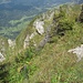 NordFlanke - fast oben. Der Gupfen ganz links ist P.1803m; in der oberen BildMitte ist der begangene Grat. Danke [u Hampi]