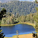 Tamarack Lake and in the back the outskirts of Reno