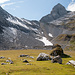 Rückblick beim Euloch. Über die Schuttflanke in der Bildmitte führt der Weg von der Furggele hinunter.