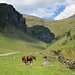 Die Pferde sind die einzigen anwesenden auf der Alp Obersiezsäss.