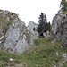 Abstiegscouloir (Weglein) auf der Südseite des Col des Moutons