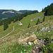 Auf dem einfachsten Weg zum P.1803: Gelber Stein auf dem Wanderweg oberhalb der Alp Hoffert. Hier direkt in Richtung P. 1803 den Grashang hochsteigen.