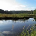 am Hackensee