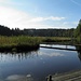 Hackensee