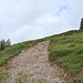Holprige Aufstieg zwischen Oberschwändi und Kulmhütte.