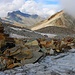 Bei einem grossen Steinmann auf etwa 3060m oberhalb des Stellipasses wird der Nollengletscher betreten.