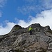 Gipfelaufbau Tjeldbergtinden
